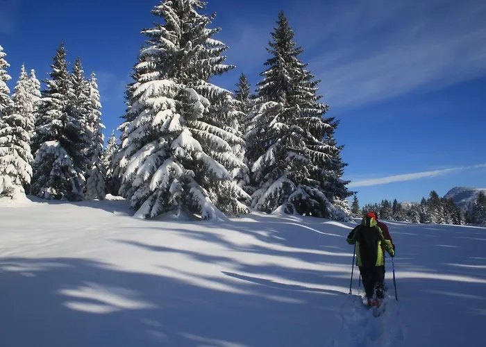 Jaktstuga Alpin Oberjoch Bad Hindelang