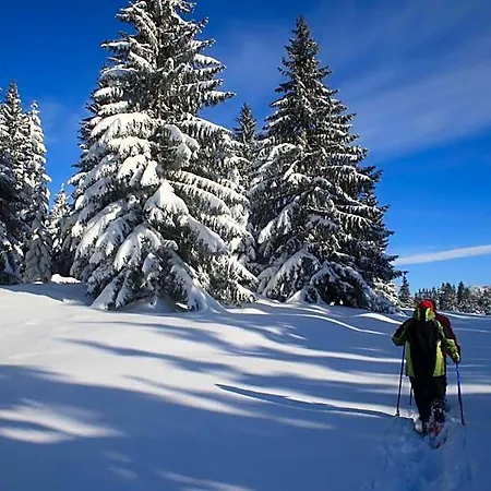롯지 Alpin Oberjoch 힌델랑