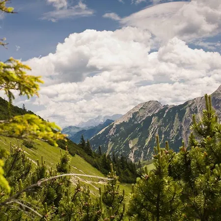 Alpin Oberjoch - Luxus Mit Privatem Und Zugang Zu 3000 Qm Panoramahotel Oberjoch Bad Hindelang