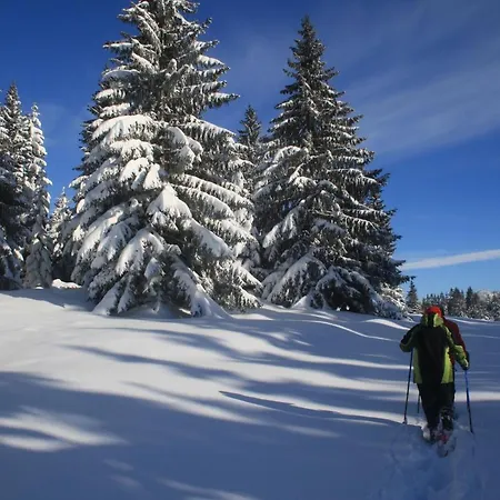 אכסניה Alpin Oberjoch באד הינדלאנג